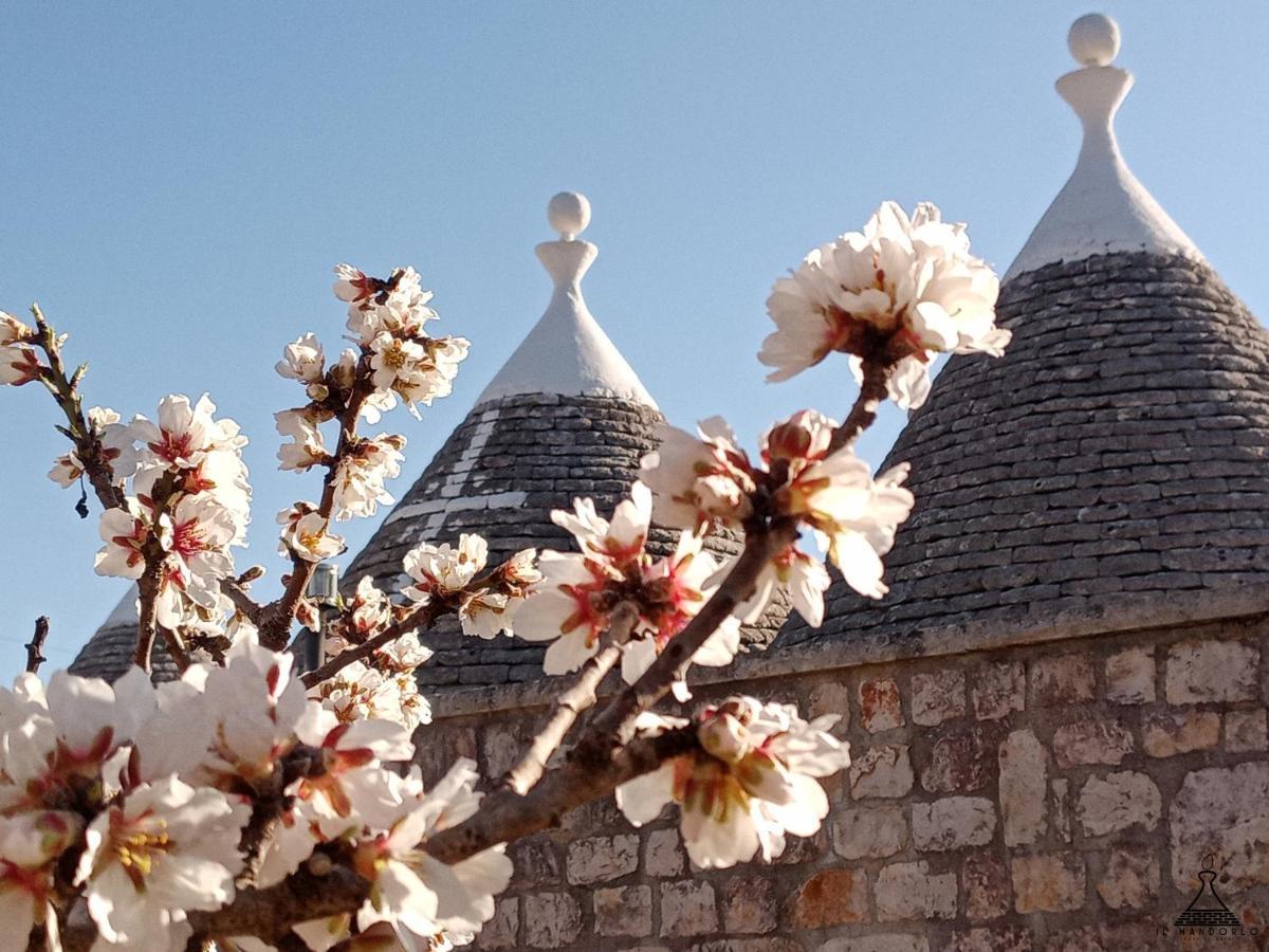 Villa Il Mandorlo Ostuni Exterior foto